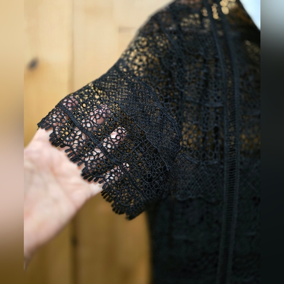 Black Lace Peekaboo Culotte Crop Jumpsuit NWT Venus Sz 16 - Picture 3 of 16